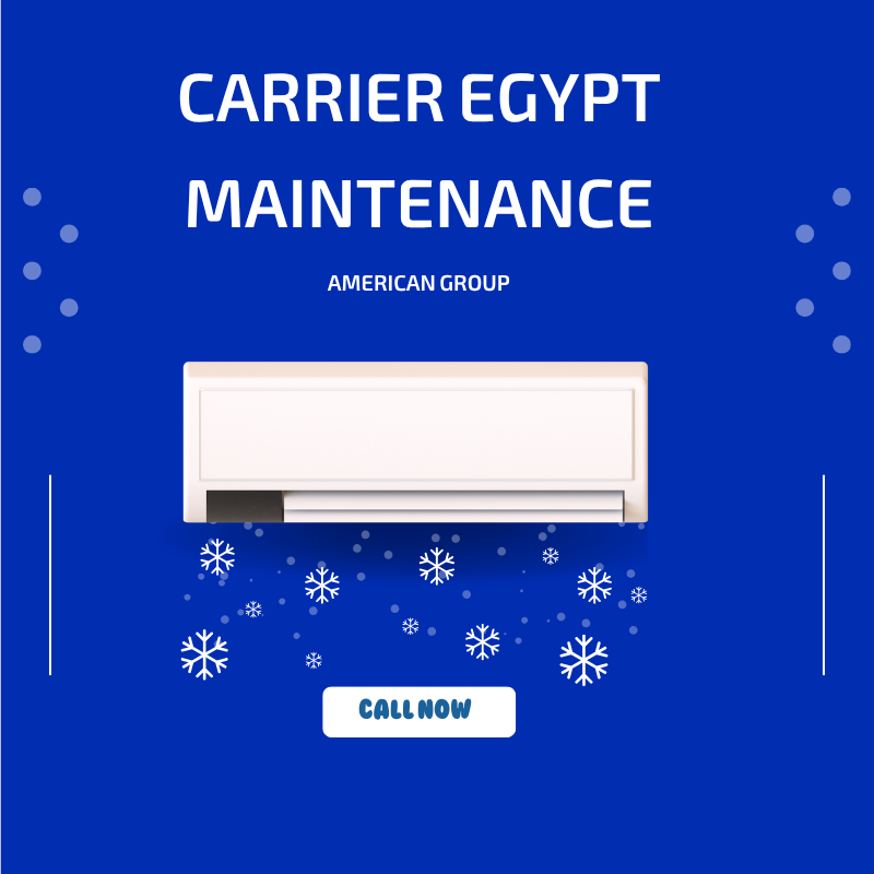 Carrier Egypt Maintenance