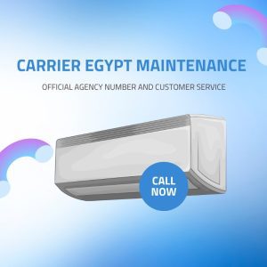 Carrier Egypt Maintenance