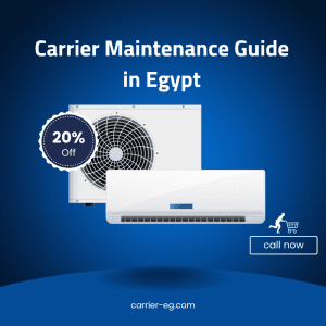 Carrier Maintenance Guide in Egypt