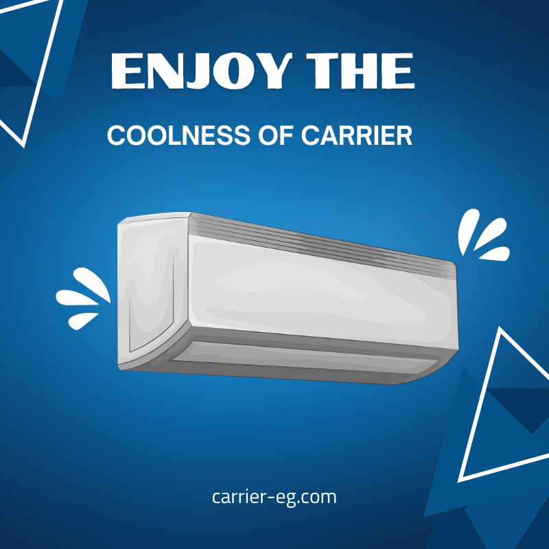 Carrier Maintenance Guide in Egypt
